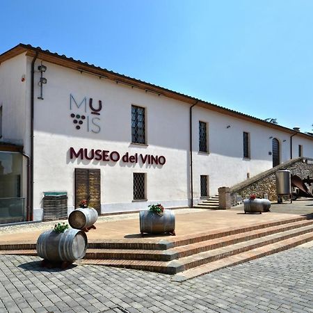 Edy House Apartment Castiglione In Teverina Exterior photo
